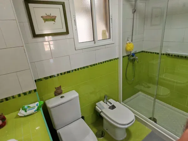 Piso en Calle Jacinto Verdaguer, 11, Perchel sur - El Bulto - Foto 22