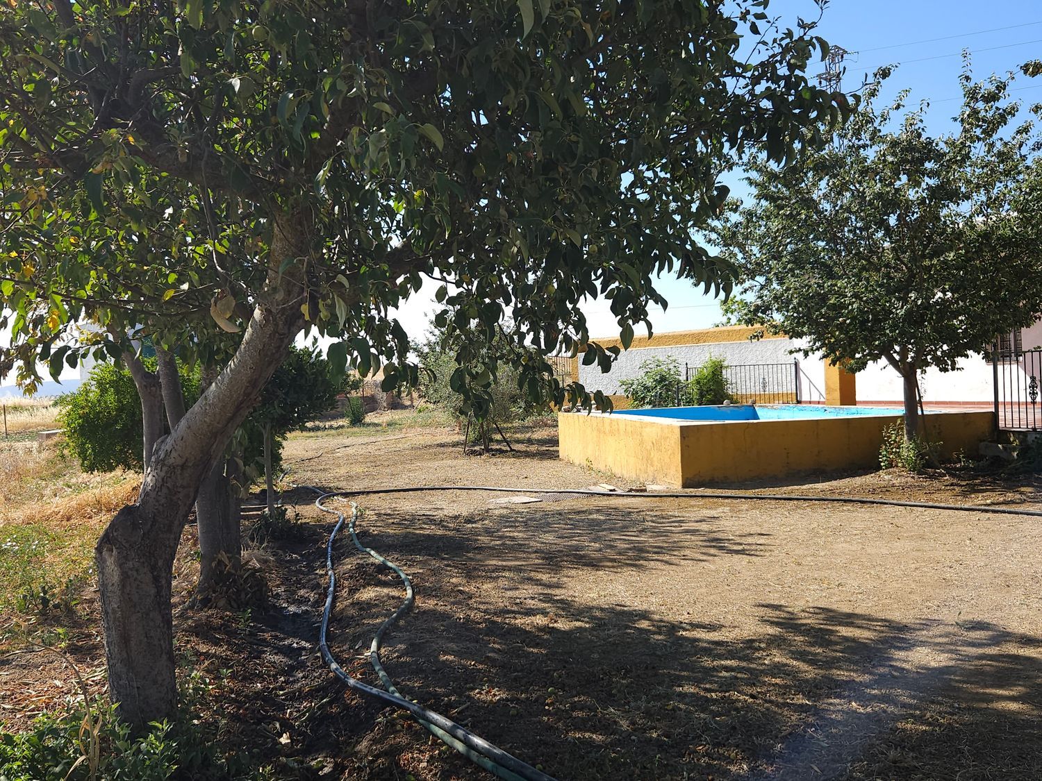 Finca rústica en Pilar de Cordoba s/n - Foto 38