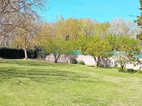 Finca rústica en Extramuros s/n - Foto 1