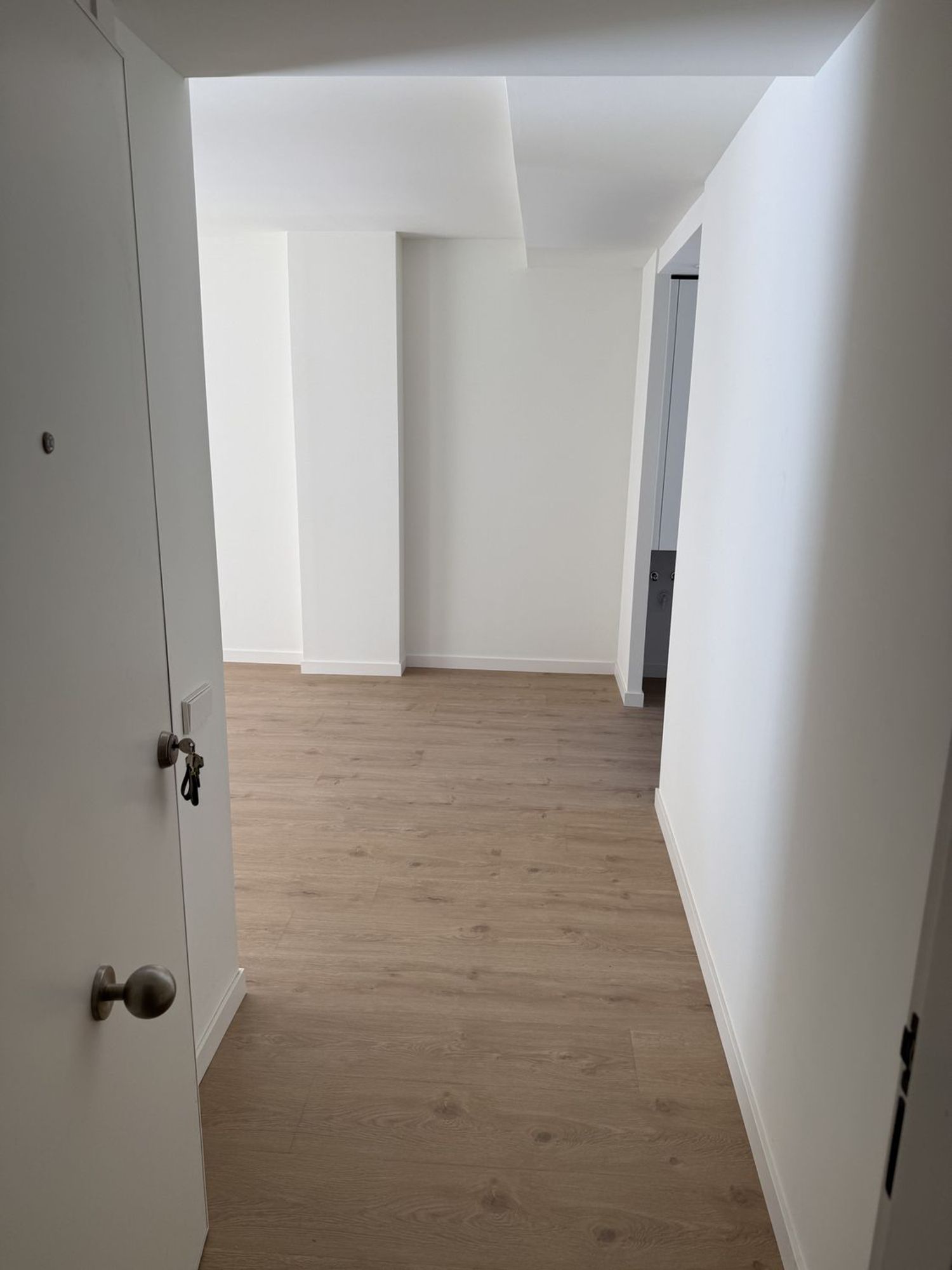 Piso en Calle de Lepant, 13, El Botànic - Foto 3