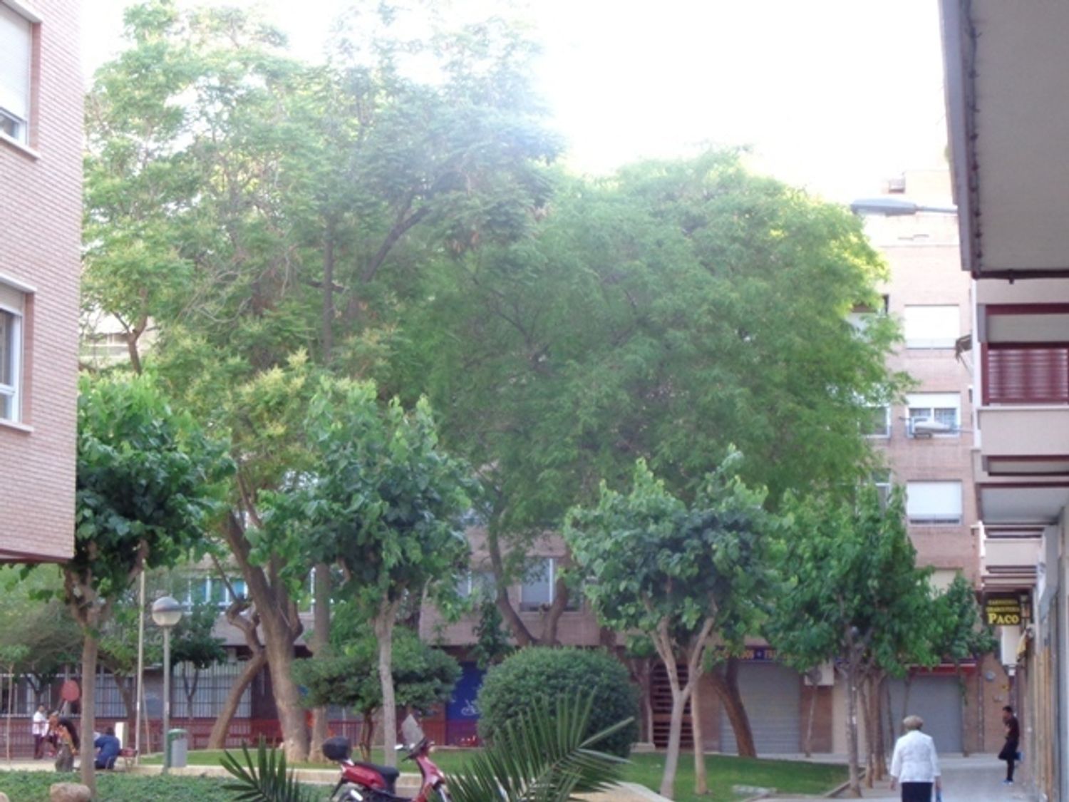 Piso en calle Gracia, 13 - Foto 3