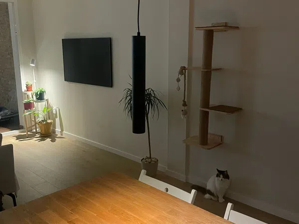 Piso en Redes, 43 - Foto 4