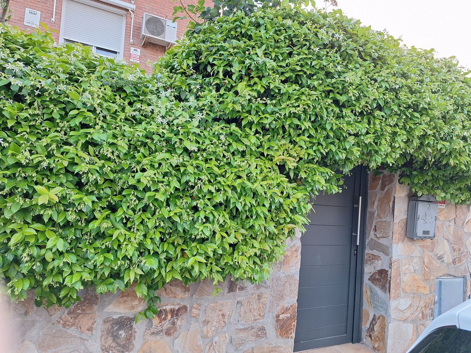 Chalet pareado en Calle Pablo Picasso, 34 - Foto 4