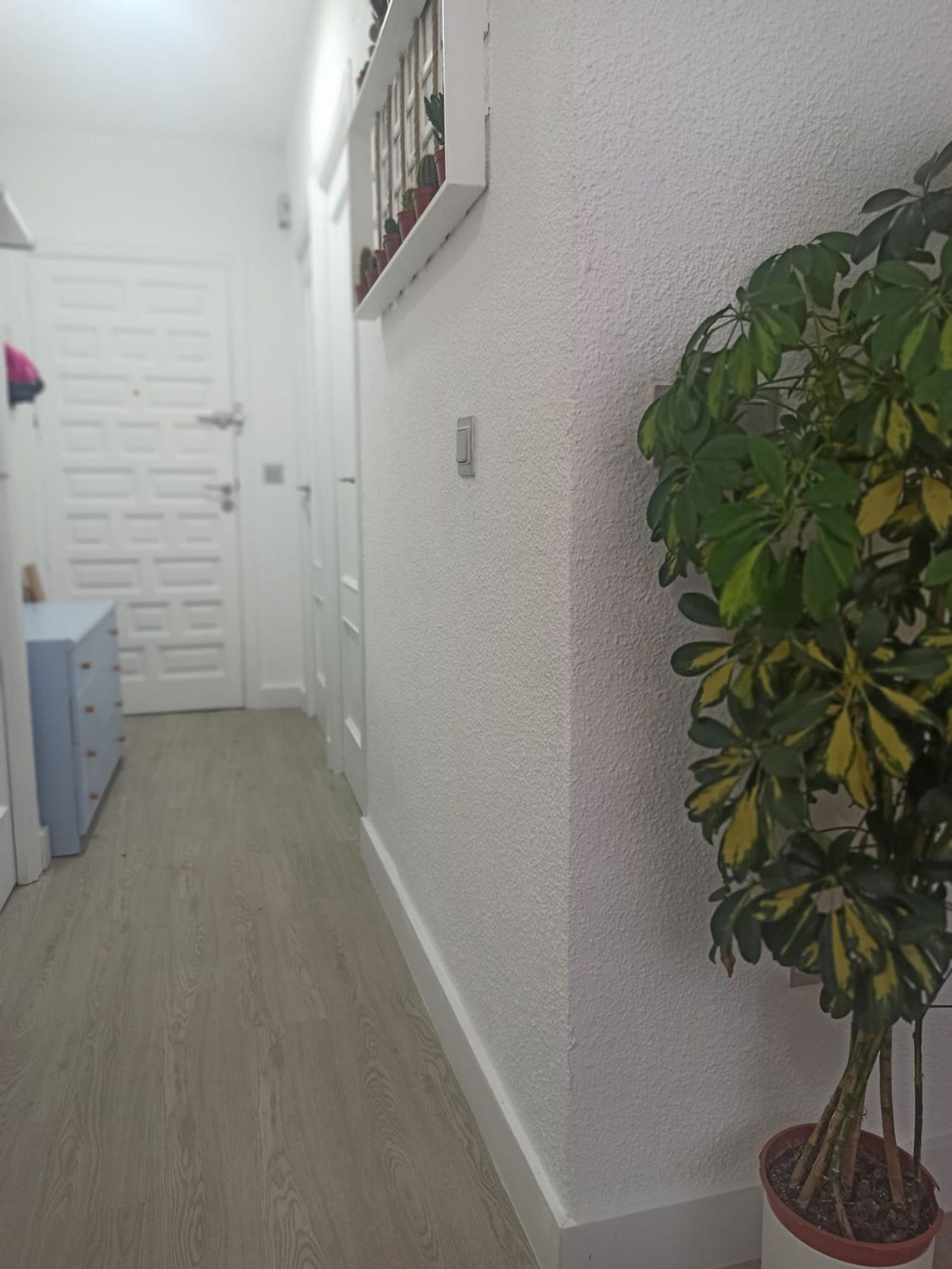 Piso en Calle Elda, 129, Tamarit - Playa Lissa - Foto 18