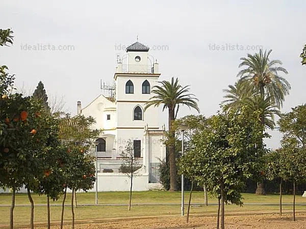 Ático en Camino San Antonio, 1, Palmete-Padre Pío-Hacienda San Antonio - Foto 1
