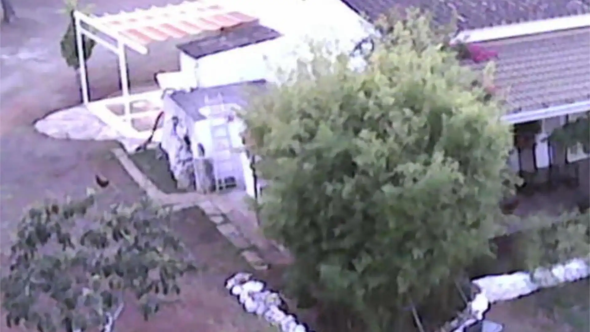 Finca rústica en  Diseminado 8746- Sa Casa Blanca 1 - Foto 2