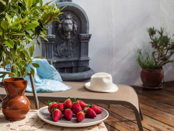 Chalet adosado en calle Sor Brígida Castelló, 4 - Foto 10