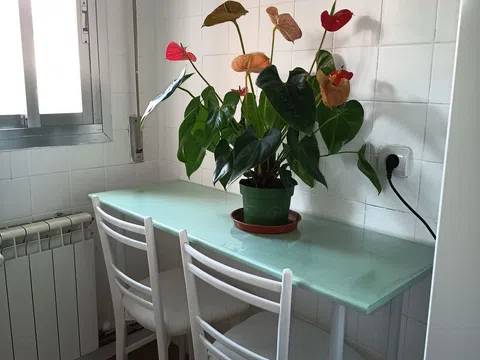 Piso en calle General Moscardó Guzmán, 8 - Foto 13