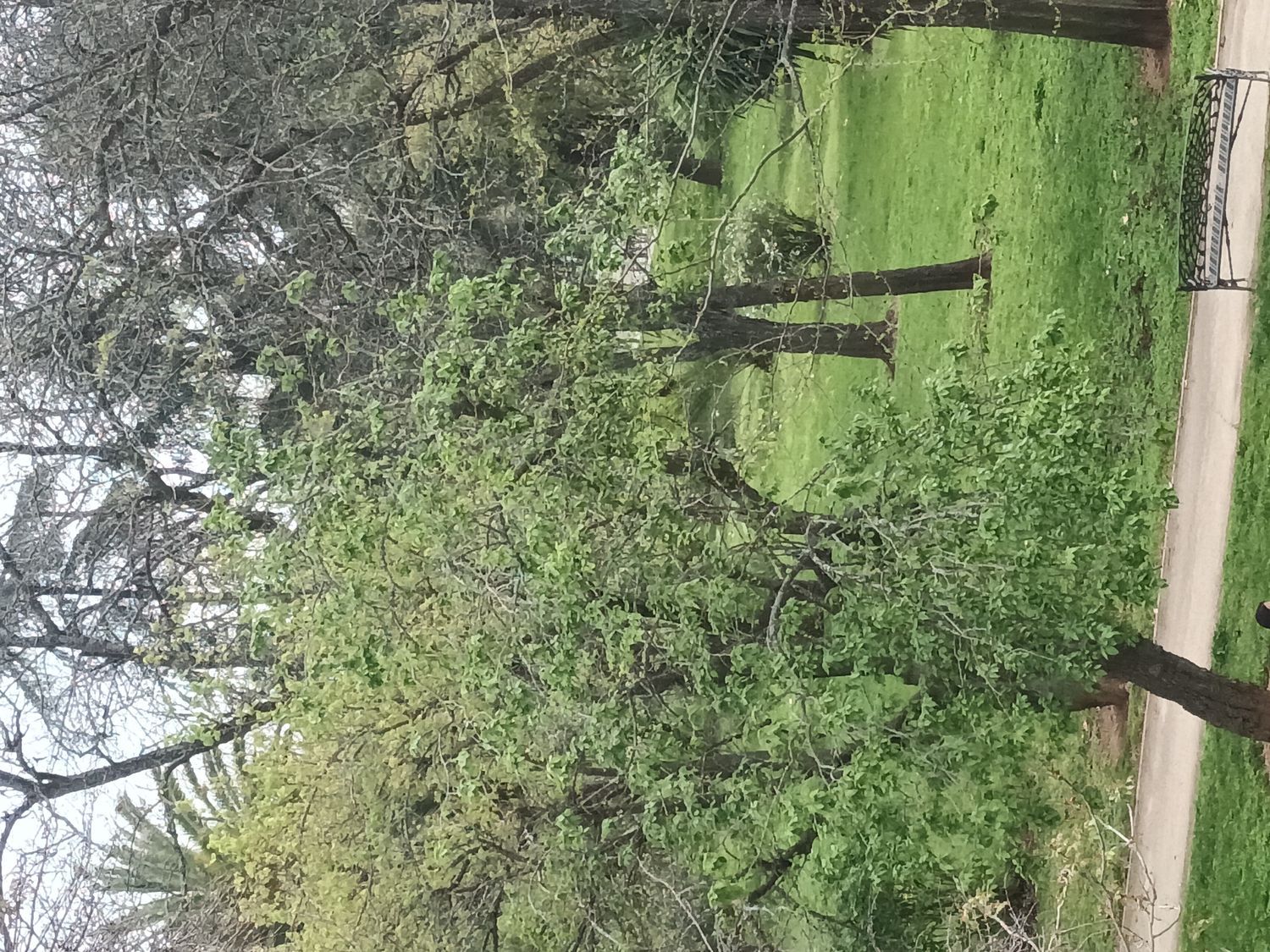 Piso en parque cruz conde, 2 - Foto 2