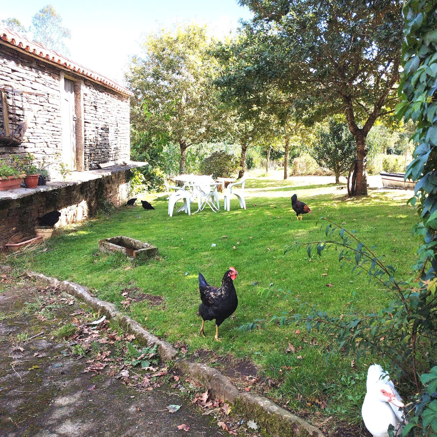 Casa o chalet independiente en Cp-1402, 18 - Foto 7
