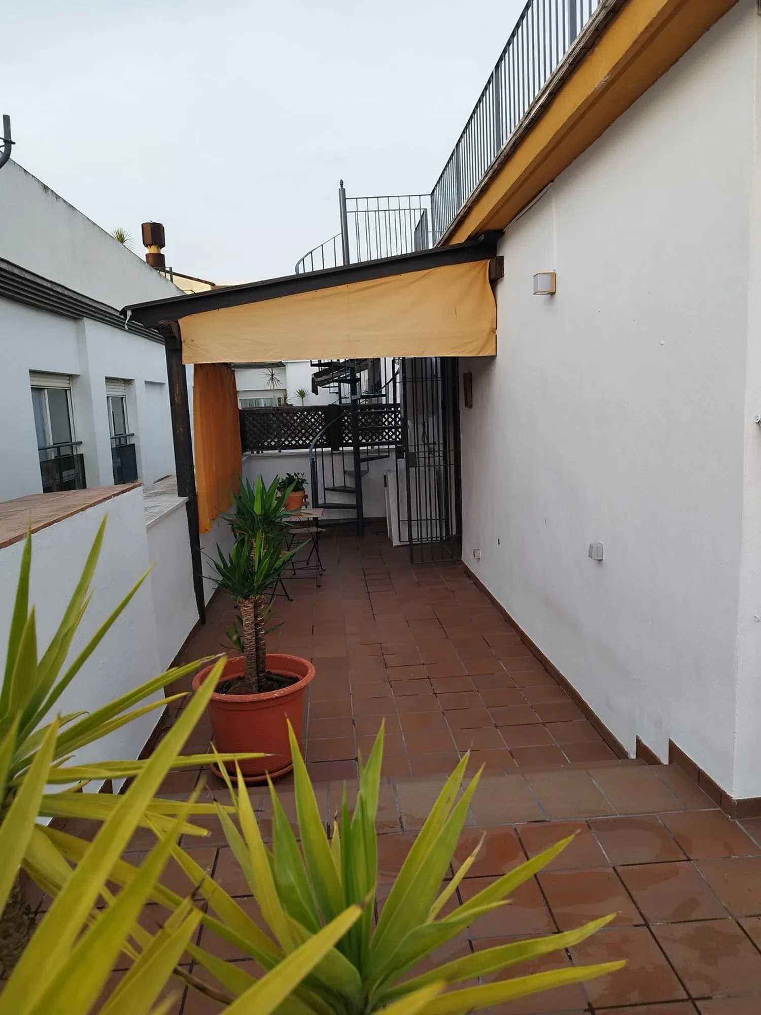 Ático en calle Castilla, 8 - Foto 5