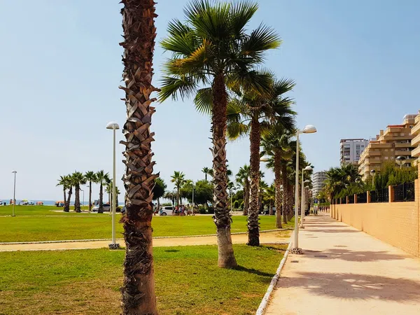 Piso en Calle Amplaries, 47, Cala Blanca - Foto 12