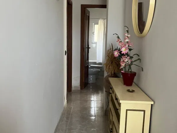 Casa o chalet independiente en Calle Naranja Zajarí, 55 - Foto 13