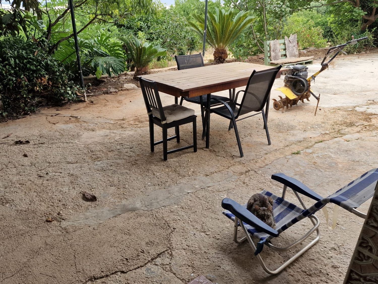 Casa o chalet independiente en Giner de los ríos, 9, Centro, Centro - Foto 6