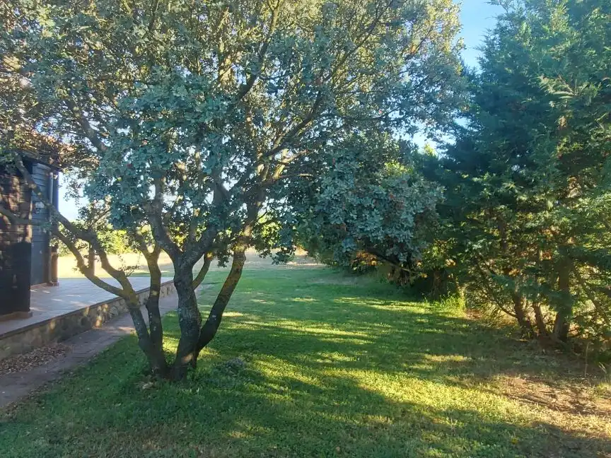 Piso en Fresno de Cantespino - Foto 39