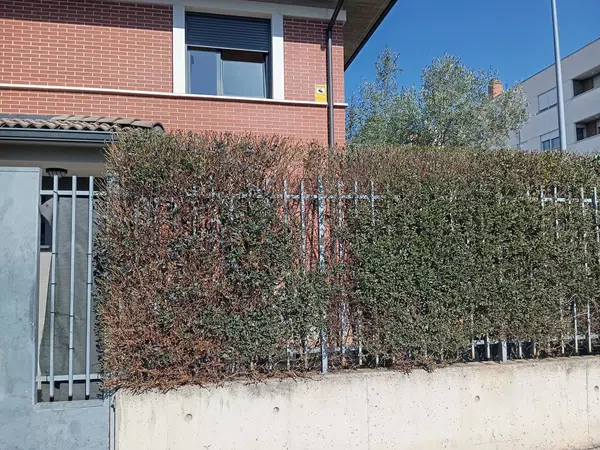 Chalet pareado en Calle Miguel Hernández, 2 - Foto 1