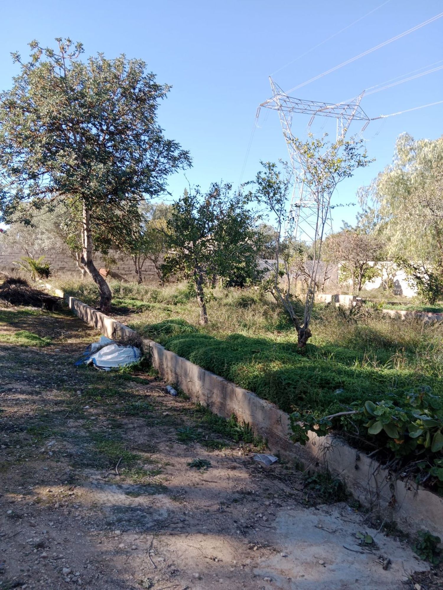 Finca rústica en camino de Bayarri, 92 PoligonoR - Foto 20
