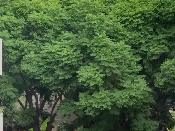 Piso en avenida Antonio Belón, 4 a - Foto 7