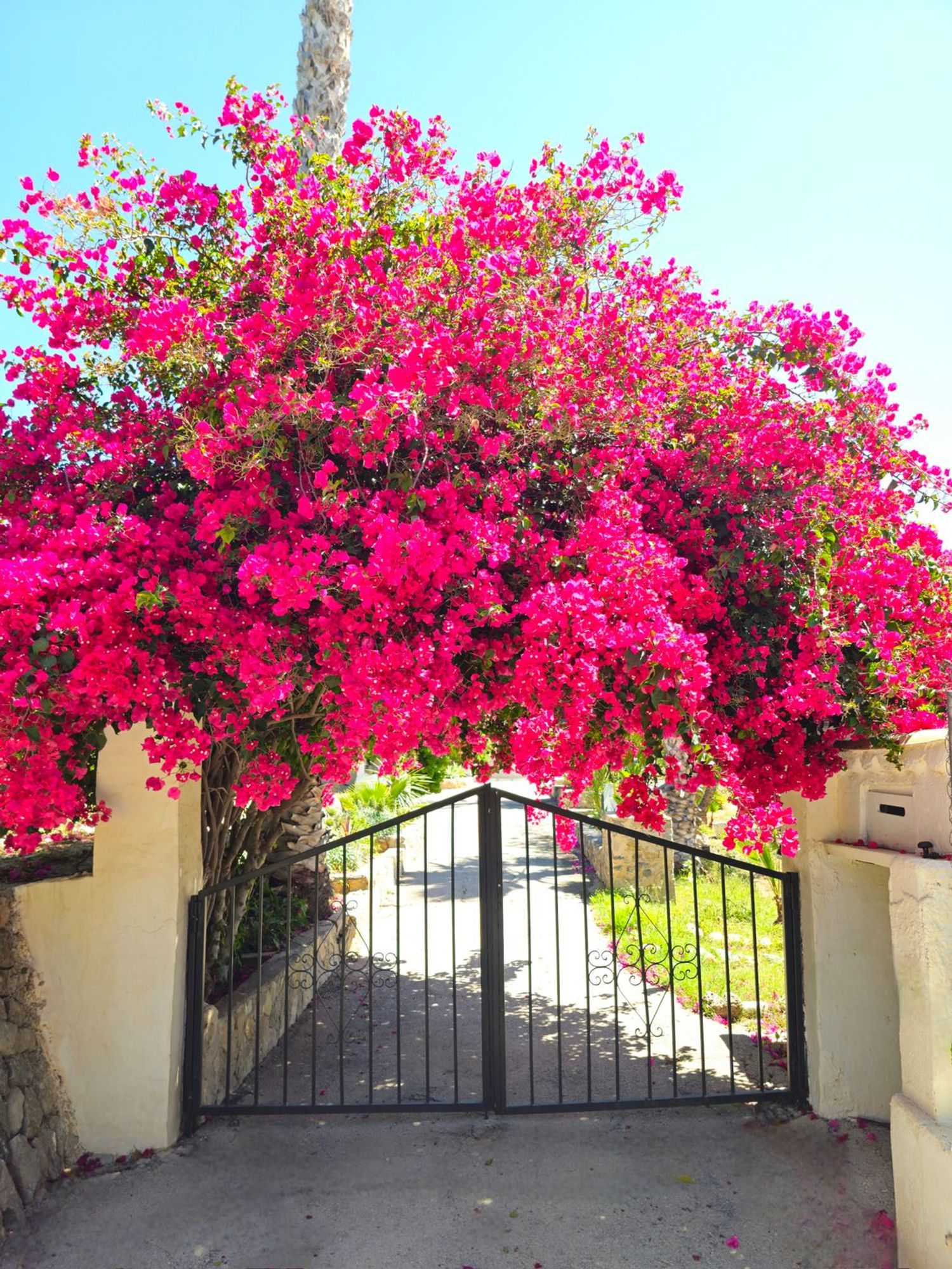 Casa rural en Altea Pueblo, Altea Pueblo - Foto 38