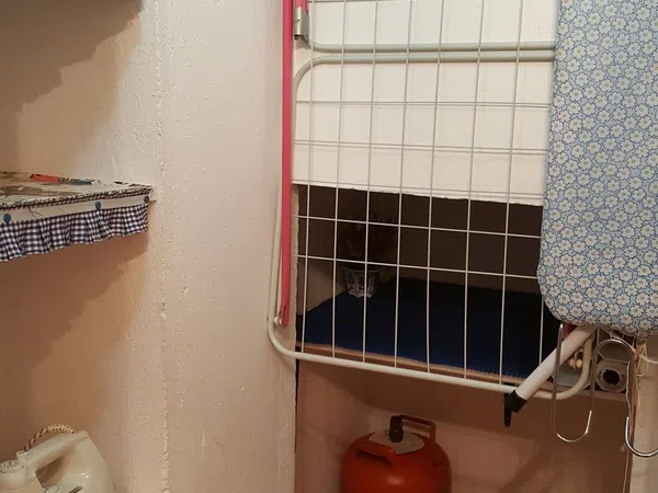 Chalet adosado en Avenida de la Libertad, 37, Punta Umbría pueblo, Punta Umbría pueblo - Foto 12