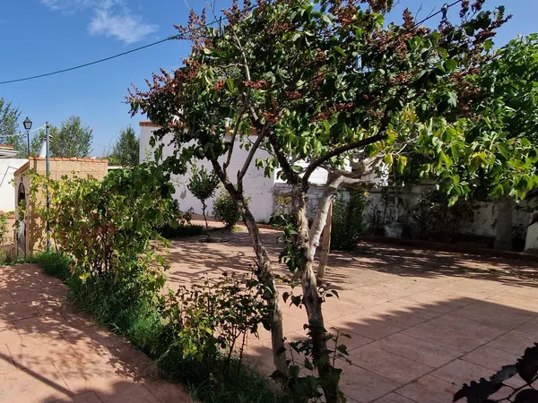 Chalet pareado en Prado de Somosaguas, Prado de Somosaguas - Foto 5