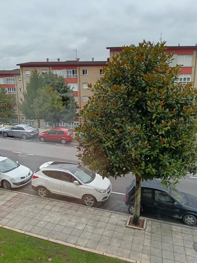 Piso en  Calle Velasquita Giráldez 12 - Foto 11