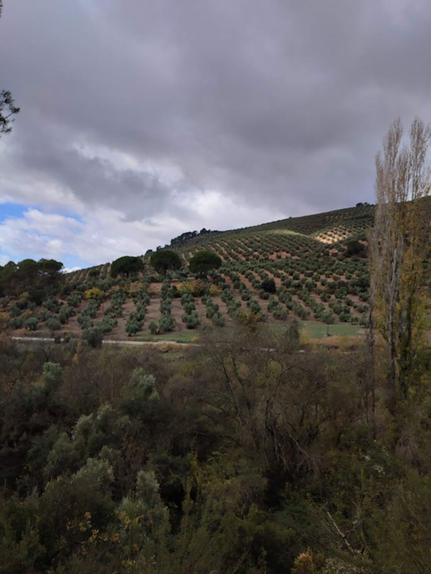 Cortijo en Carretera a Cortijos Nuevos s/n - Foto 4