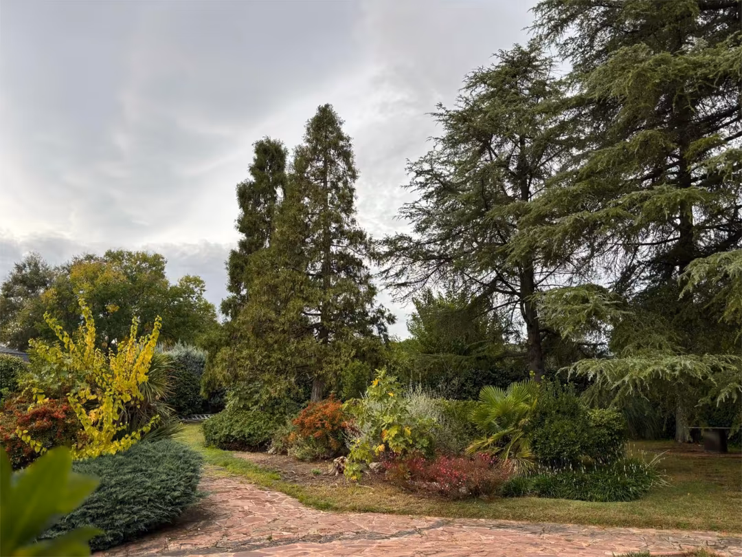 Chalet en Majadahonda - Foto 3