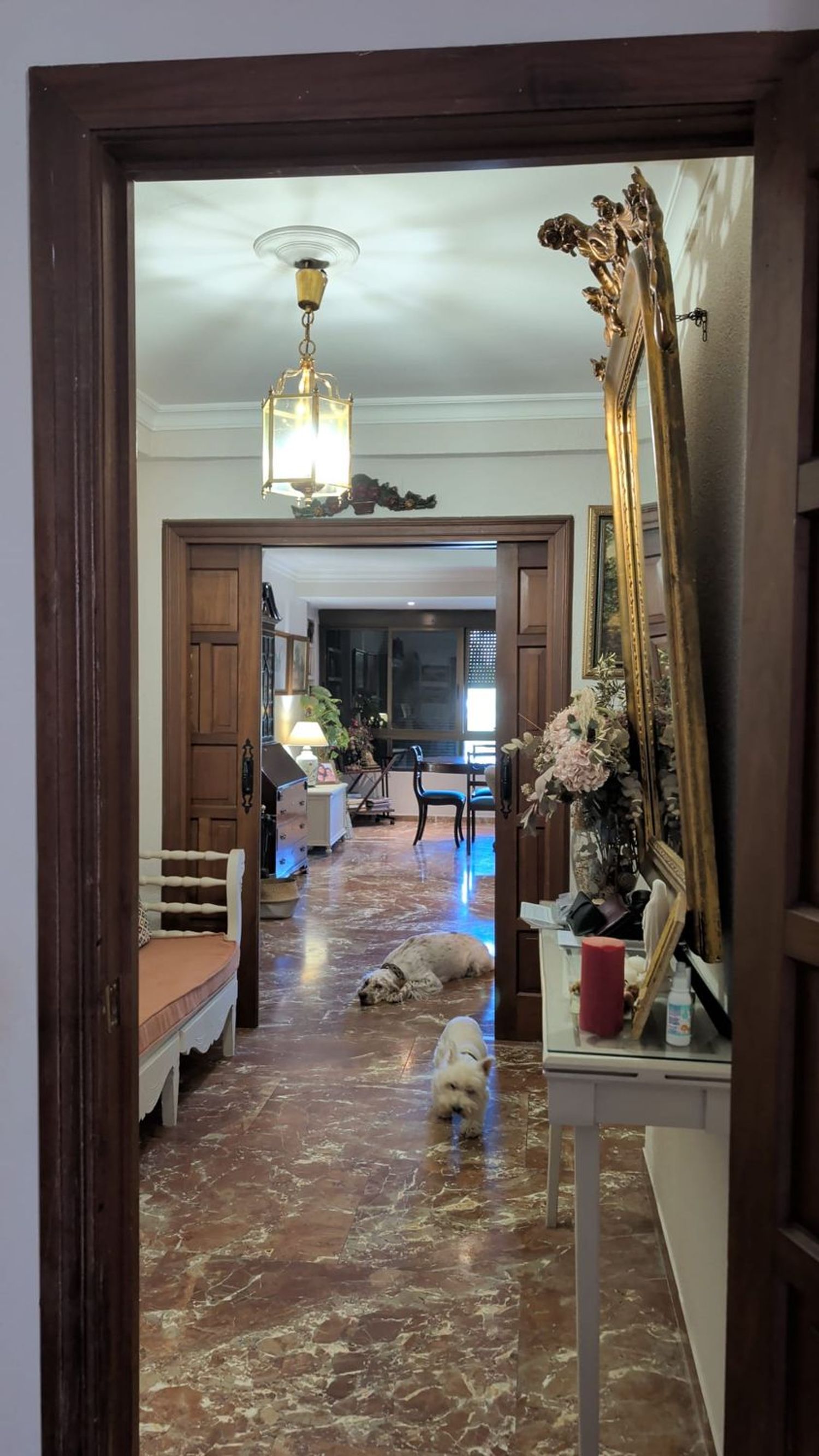 Piso en Urbanización El bosque, 26, El Altillo - Foto 4
