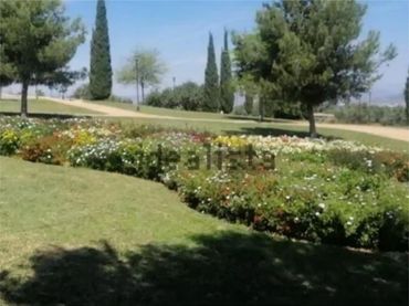 Terreno Residencial en  Calle Uganda 35 - Foto 4