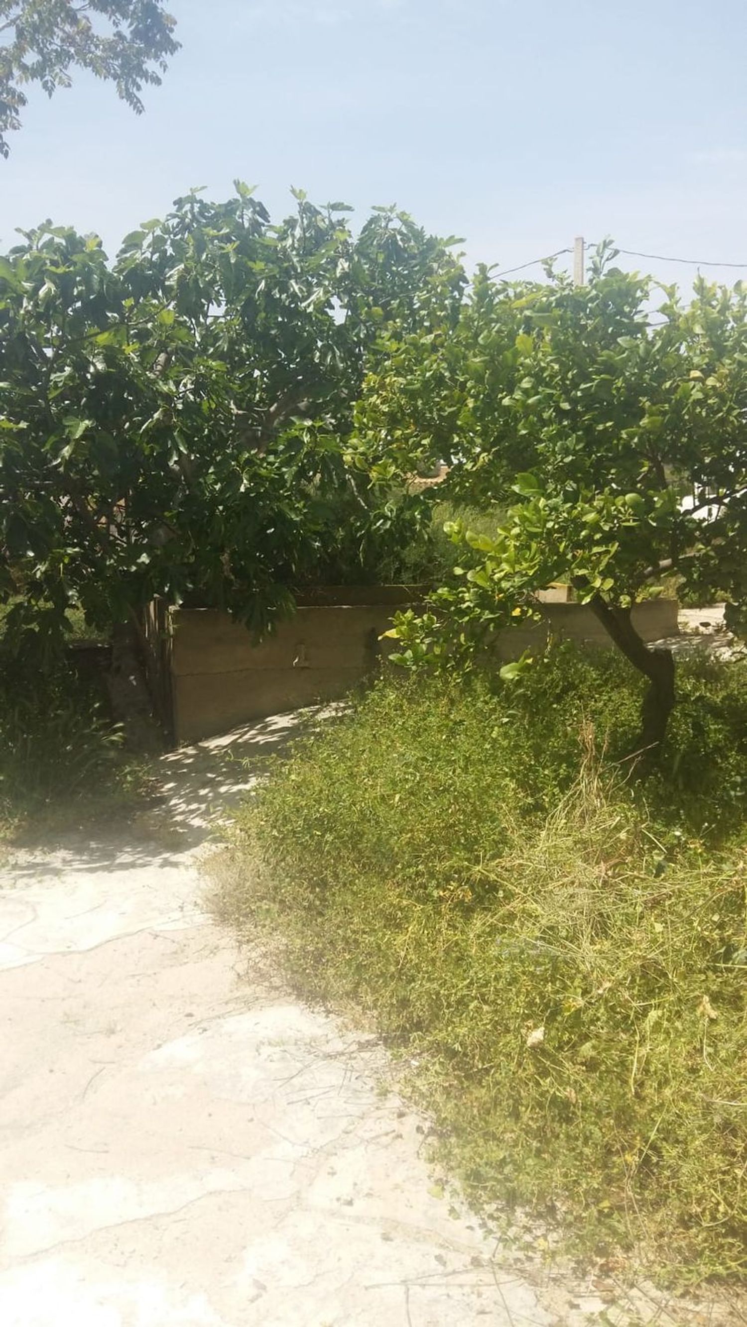 Casa de pueblo en Diseminado los Alias, 7 - Foto 13