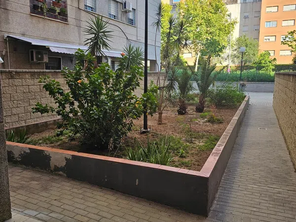 Piso en Calle Doctora Navarro Rodriguez, 6, Avenida de las Ciencias - Foto 3