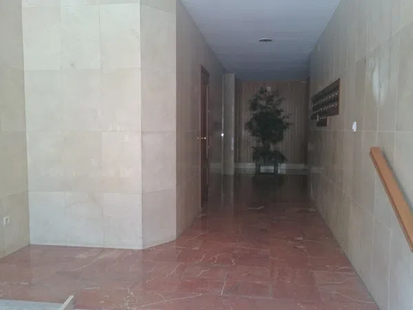 Piso en Calle Monzón, 42, Reina Mercedes - Heliópolis - Foto 19