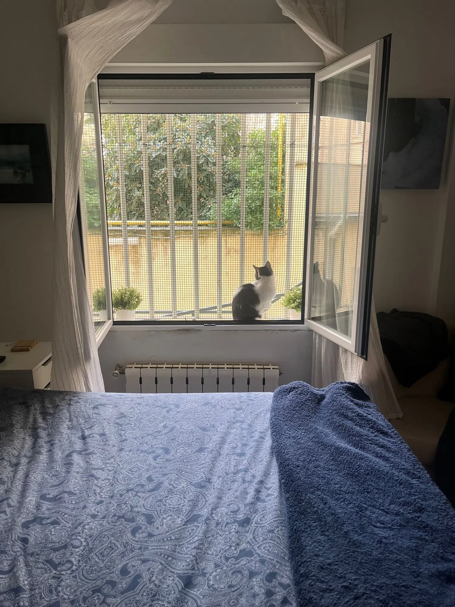 Piso en travesía de las Cañas, 1 b - Foto 1