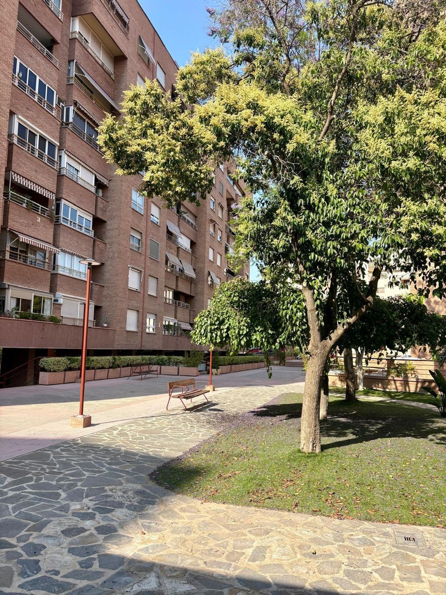 Piso en Avenida Pío Baroja, 4, Infante Juan Manuel - Foto 11
