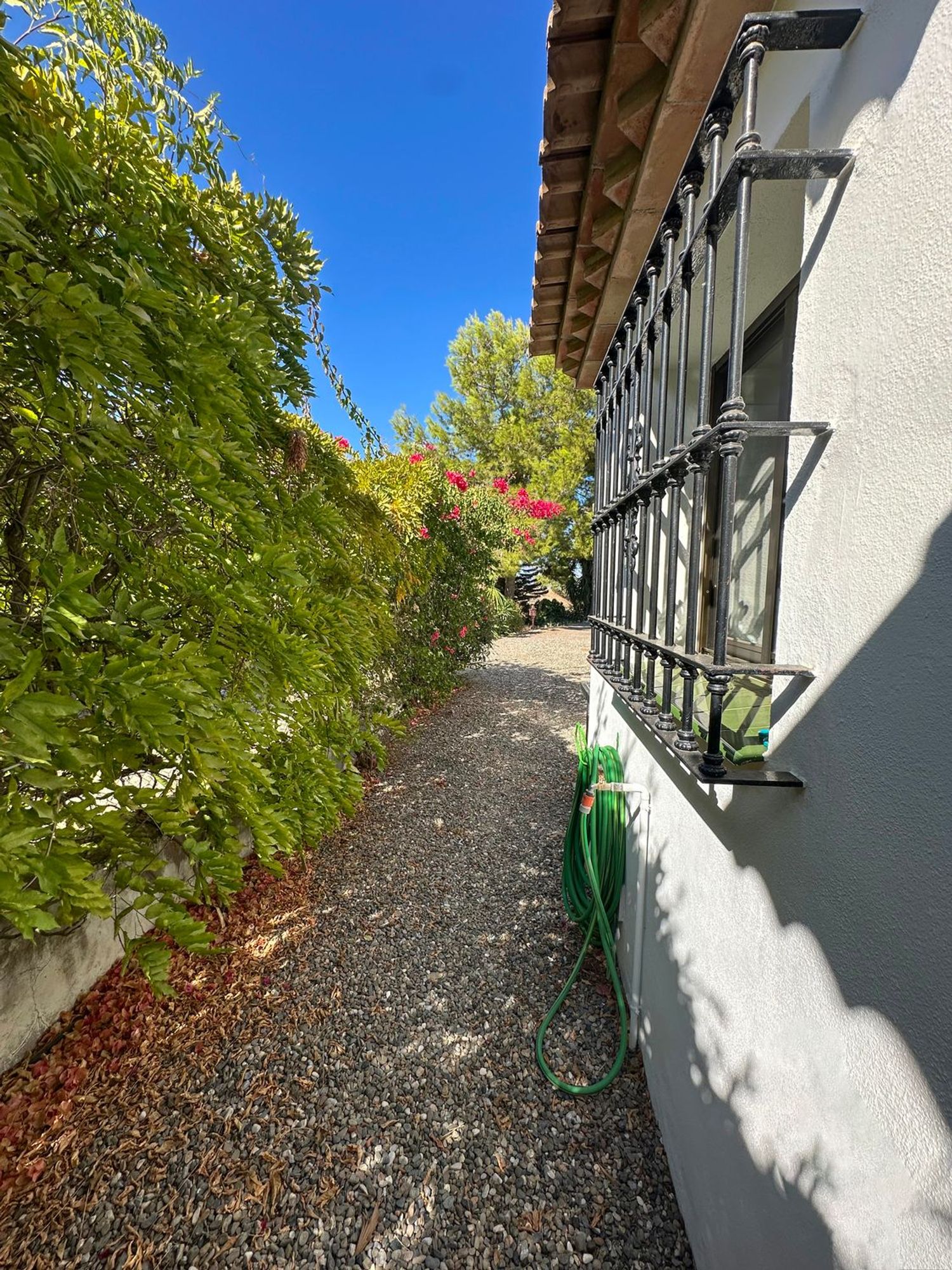 Finca rústica en San Anton, 110 - Foto 26