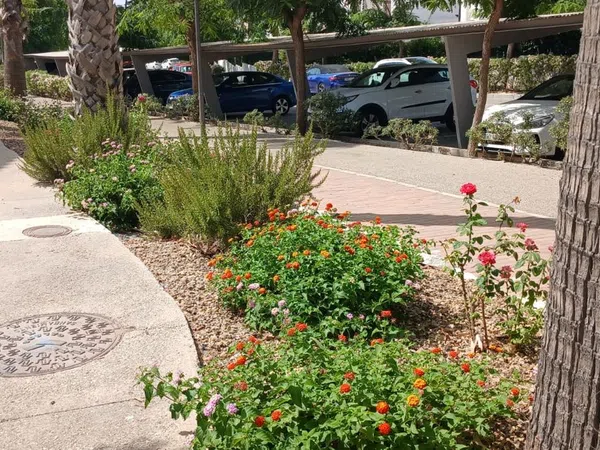 Ático en Avenida Alcazaba, 115, Las Salinas, Las Salinas - Foto 36