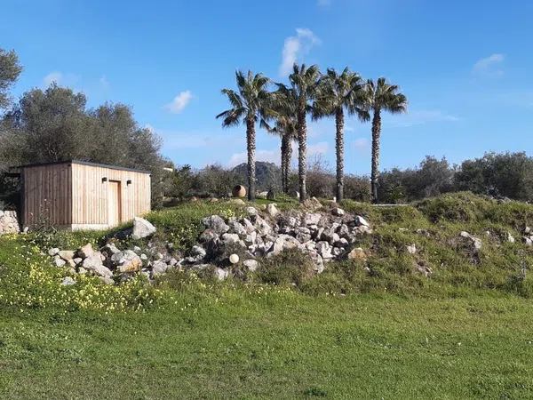 Casa o chalet independiente en Port d'Andratx, Port d'Andratx - Foto 20