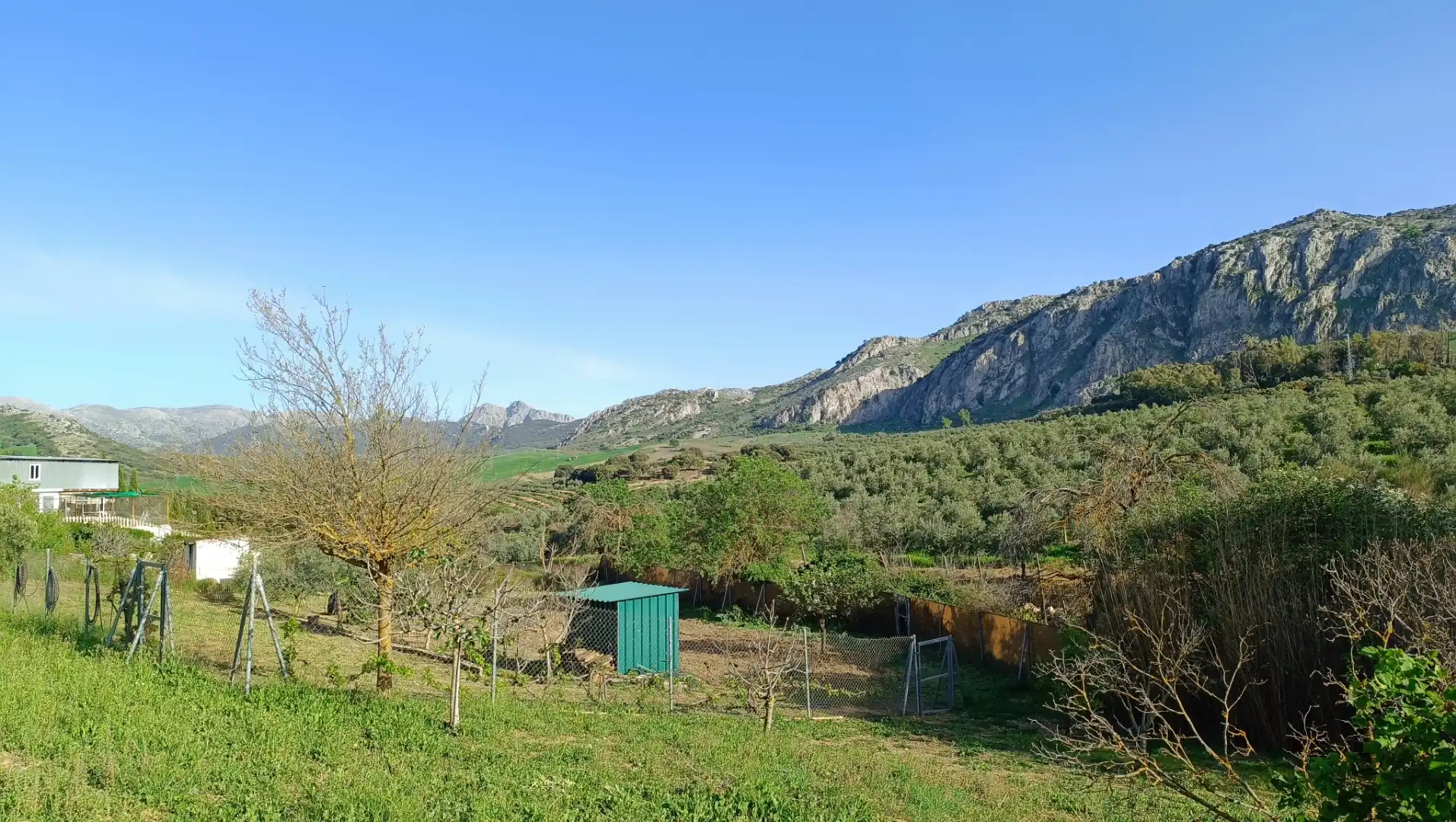 Chalet en  Poligono 154 1 - Foto 3