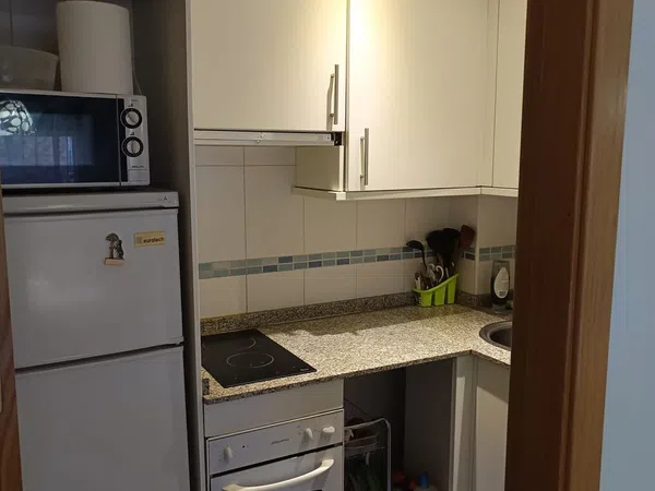 Estudio en Calle de Pedro Campos, 16, Opañel - Foto 11