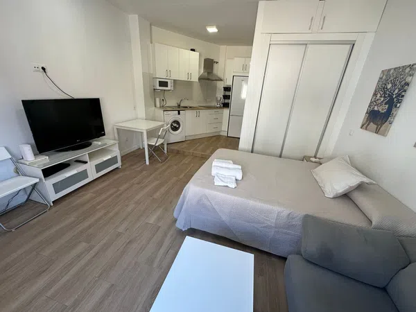 Estudio en Calle Fernández Alarcón, Camino de Antequera - Foto 1