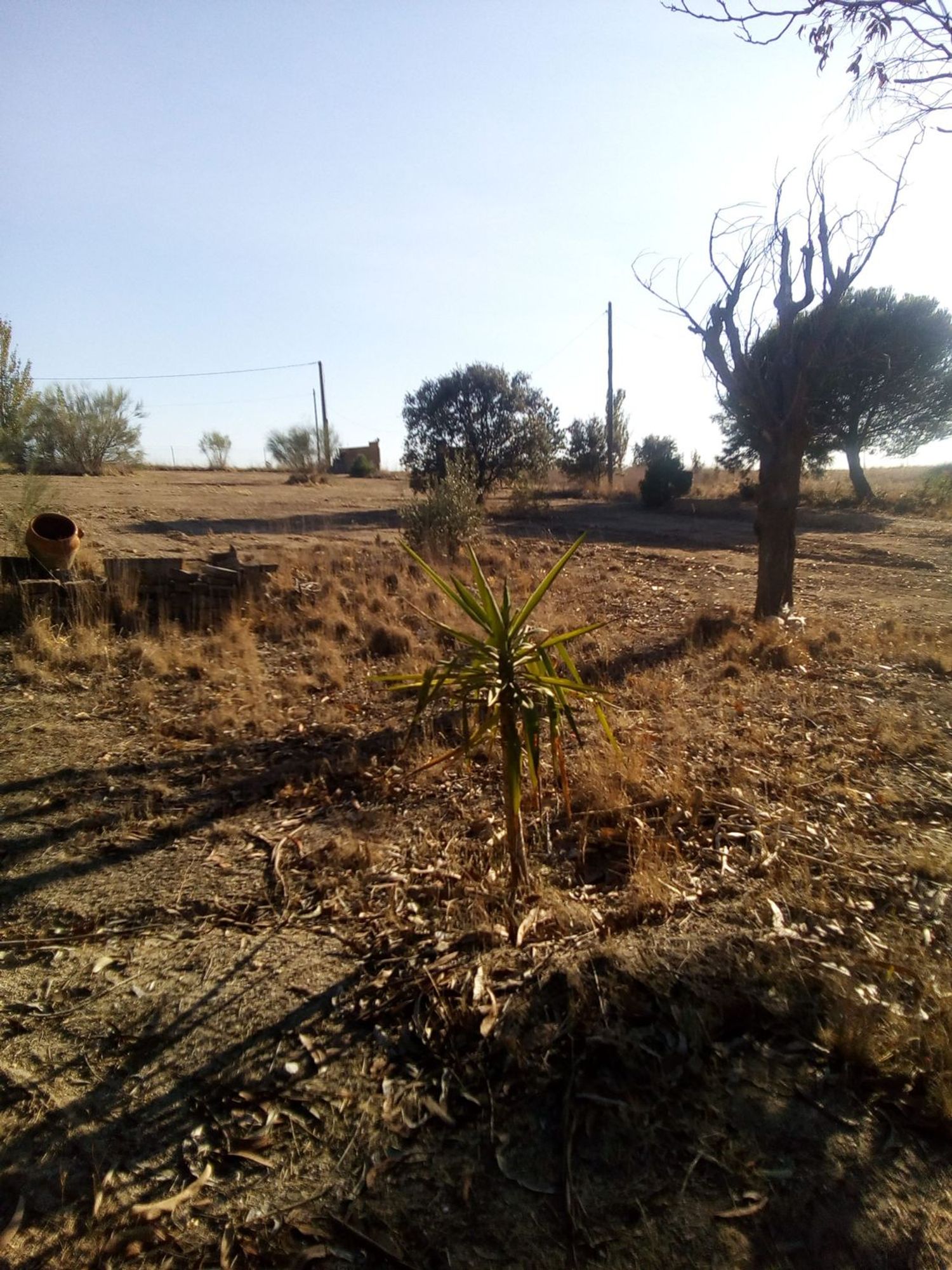 Finca rústica en camino de las laderas, 45 - Foto 18