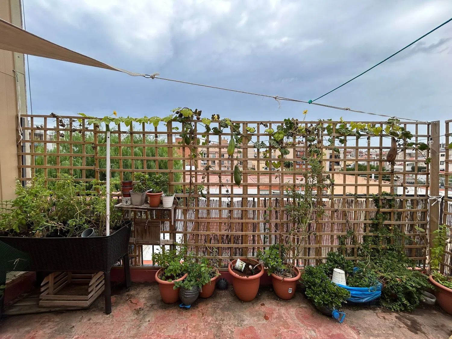 Ático en camino Ral de la Mercè, 250 - Foto 16