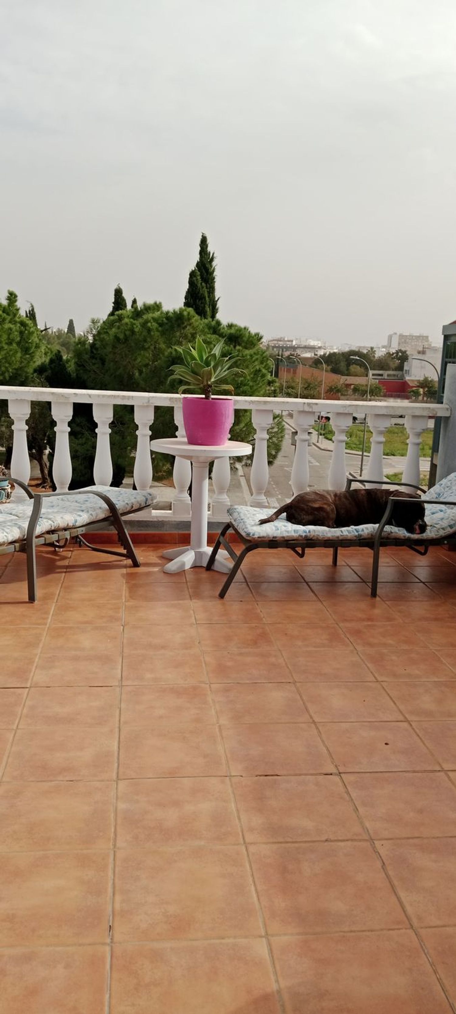 Casa o chalet independiente en Plaza del Taburio, 18, Beniopa - San Pere, Beniopa - San Pere - Foto 13