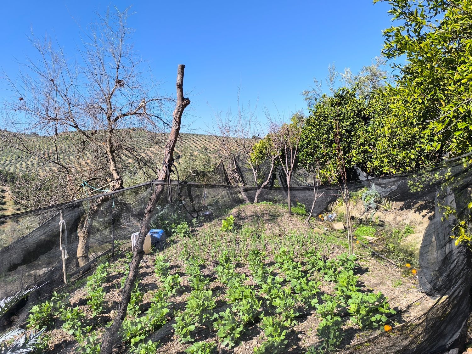 Cortijo en Via Sin Nombre s/n - Foto 36