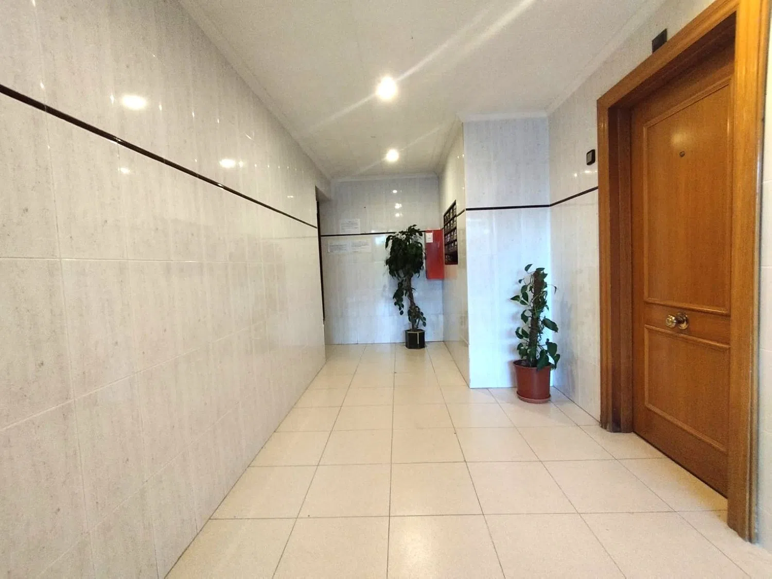 Piso en calle Pintor Antonio Amorós, 10 - Foto 2