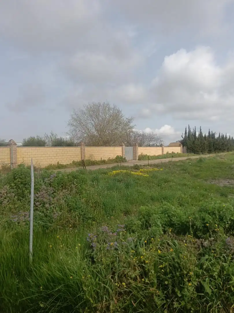 Finca rústica en  Camino Alcornocal 361 - Foto 6