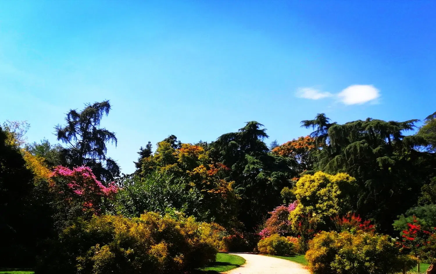 Piso en calle San Marcelo, 24 - Foto 4