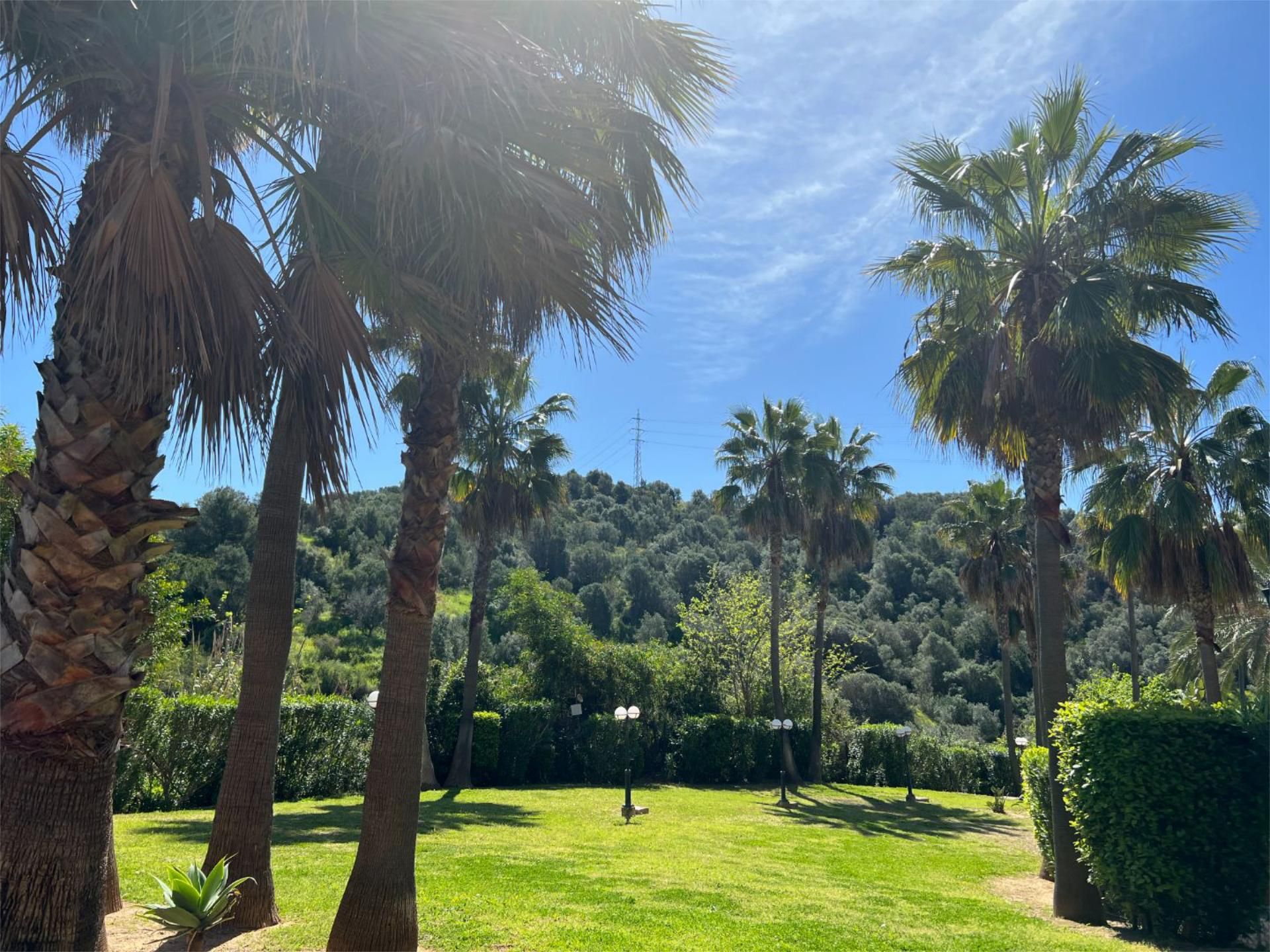 Piso en  Avenida Aljaima 15 - Foto 13