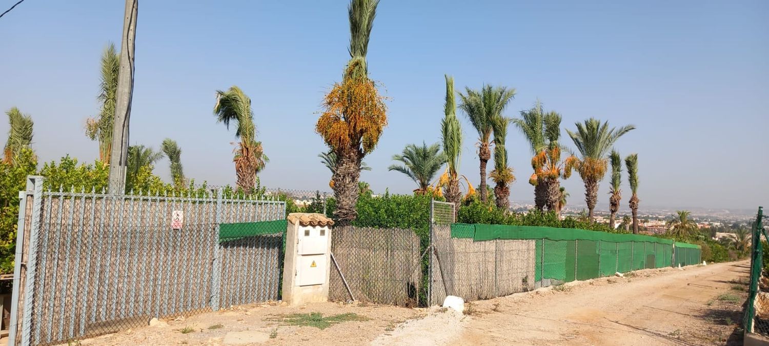 Finca rústica en calle Don Adrián, 1506 - Foto 5